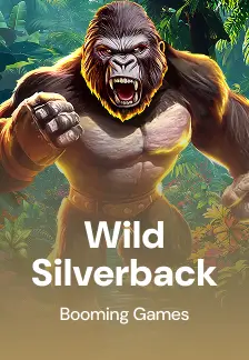 Wild Silverback
